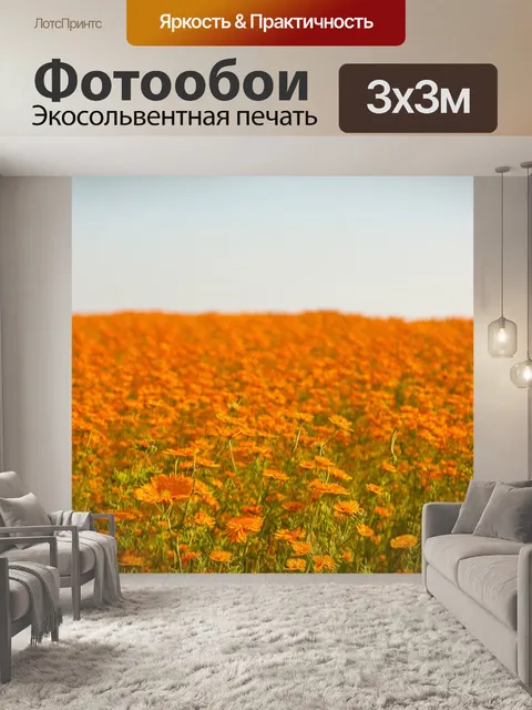 Фотообои оранжевый цвет: поля оранжевых сафлоров