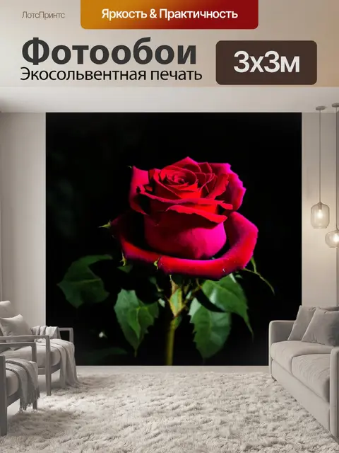 Фотообои розы в стиле кинематографический, темный и мистический фон, розы с таинственным светом и тенями