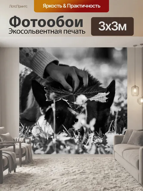 Фотообои Собака