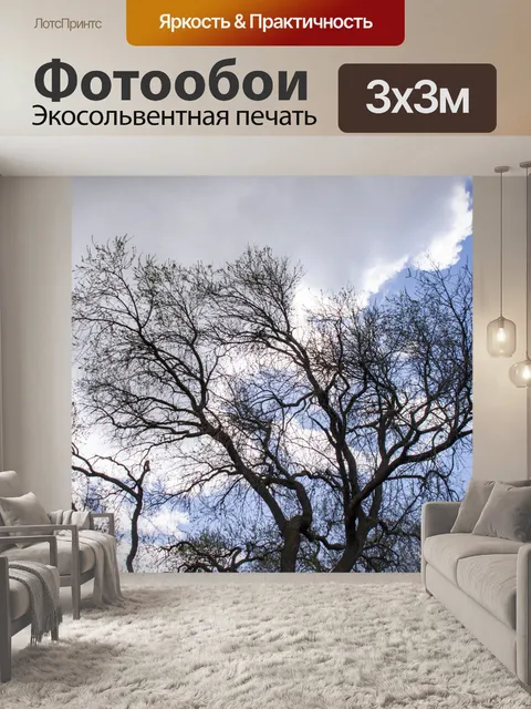 Фотообои ветки деревьев голубое небо