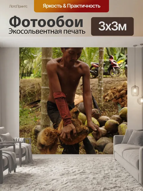 Фотообои Разрушитель кокосов