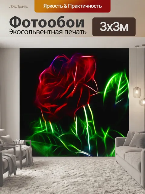 Фотообои Красная роза