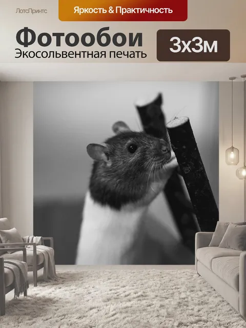 Фотообои Крысы