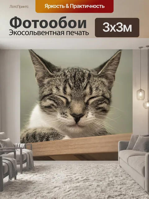 Фотообои Похмелье
