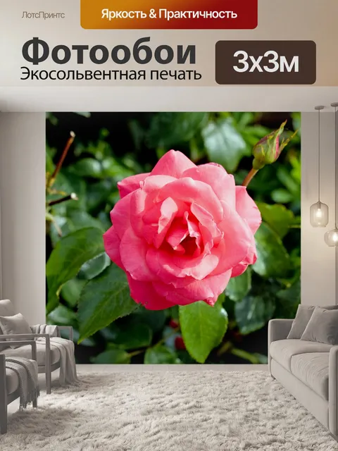 Фотообои Розы