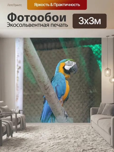Фотообои Синий и желтый ара
