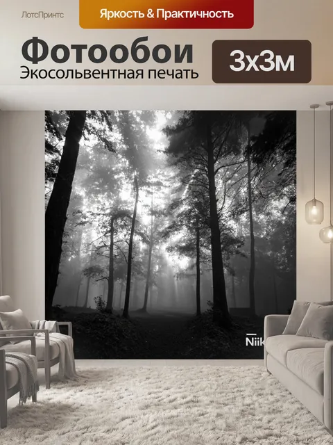 Фотообои туман в стиле черно-белый, утренний лес с падающими лучами света сквозь густой туман