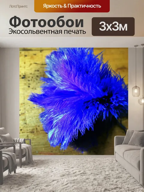 Фотообои цветные перья страуса