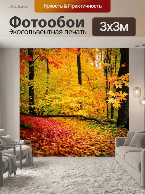 Фотообои лес с осенними листьями, яркими оттенками желтого, оранжевого и красного