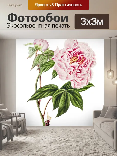 Фотообои Пион цветок розовый винтаж