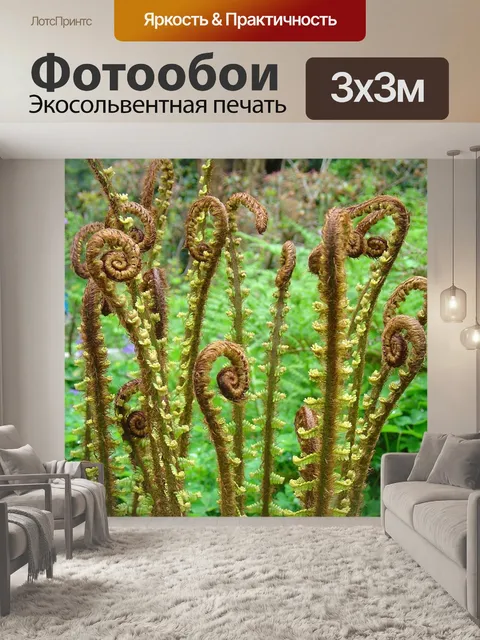 Фотообои Fiddlehead
