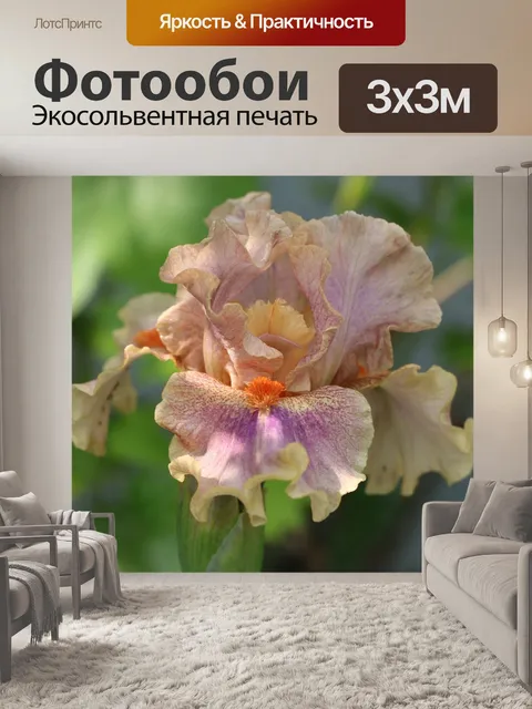 Фотообои Ирис