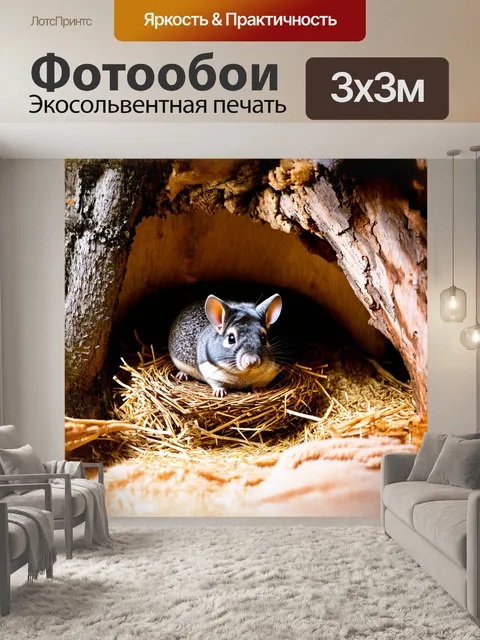 Фотообои шиншилла, играющая в своем уютном гнезде, окруженная мягкими подстилками из сена и веточек