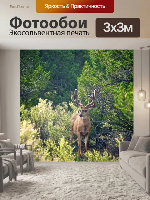 Фотообои Бак за забором