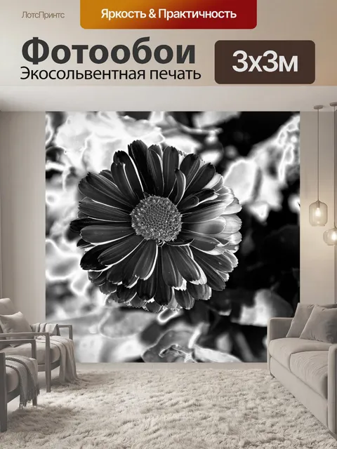 Фотообои Черное И Белое