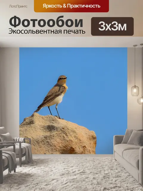 Фотообои Природа