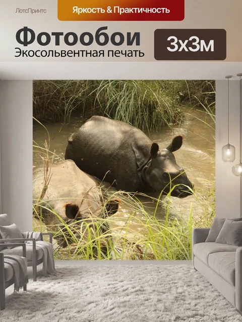 Фотообои Носорог