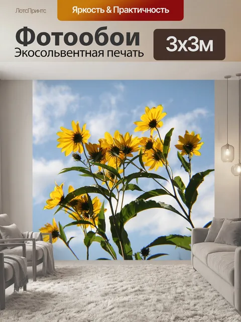 Фотообои Черноглазая сьюзан