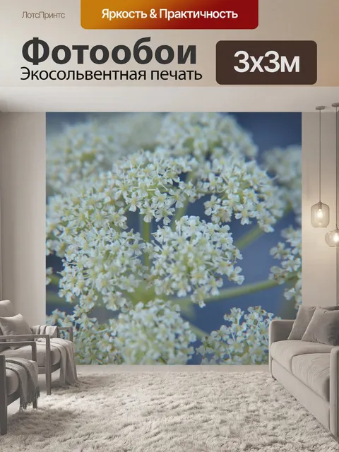 Фотообои Цветы