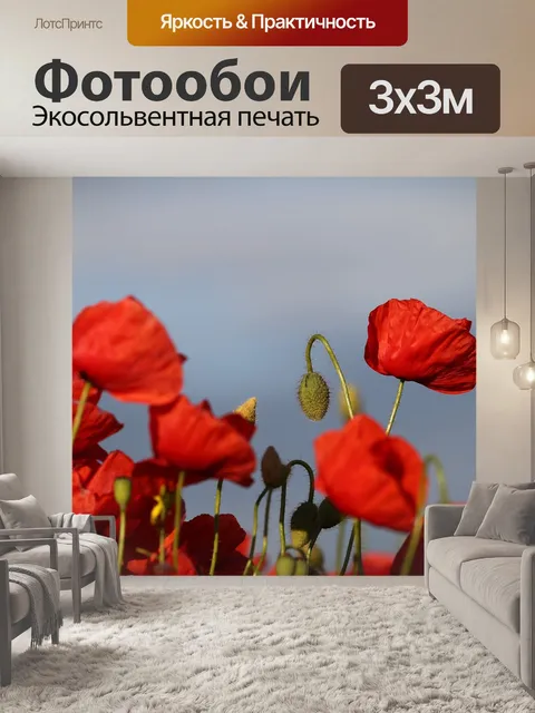 Фотообои Красные маки на ветру