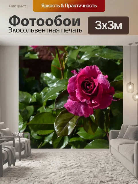 Фотообои Вертикальная Роза в розовый