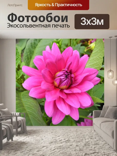 Фотообои Цветок