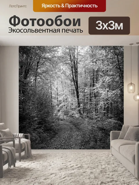Фотообои Лесная тропа