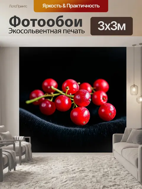 Фотообои красные ягоды на фоне черного бархата, игра света и тени создает яркий контраст