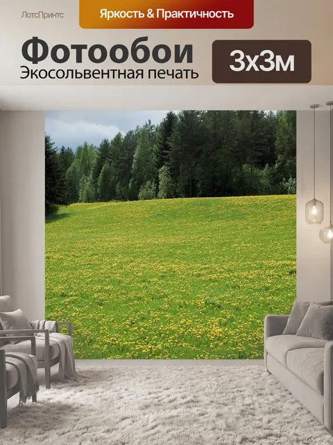 Фотообои Одуванчик