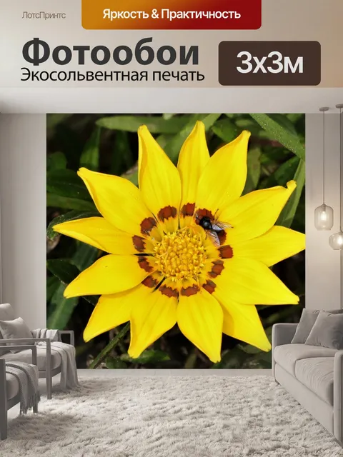 Фотообои Желтый цветок Газании и муха