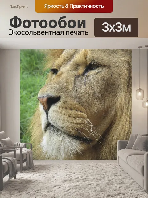 Фотообои Лев