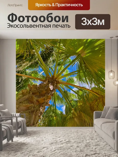 Фотообои Пальма на фоне голубого неба