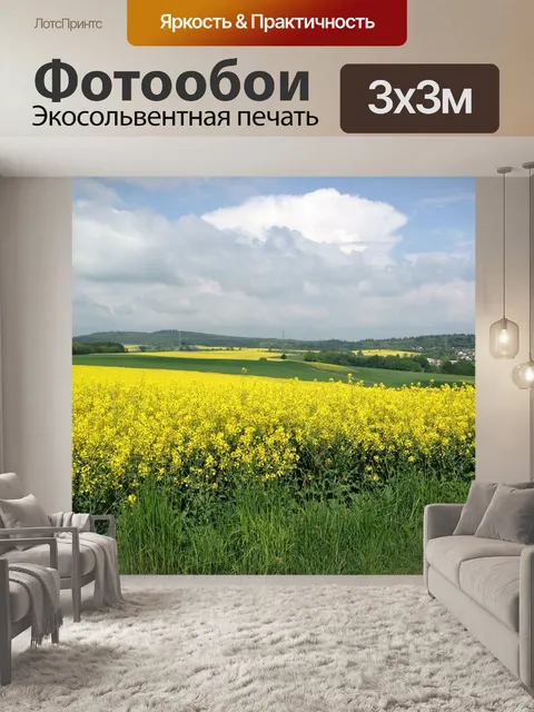Фотообои Рапс