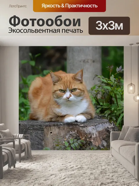 Фотообои Рыжая кошка.