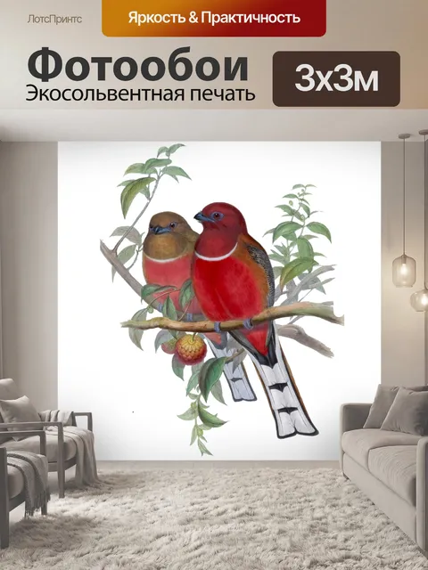 Фотообои Винтажный клипарт тропических птиц