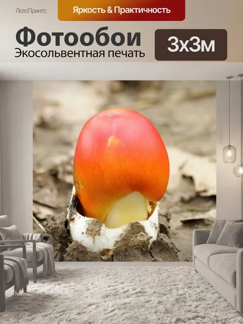 Фотообои Аманита Джексон Гриб и Волва