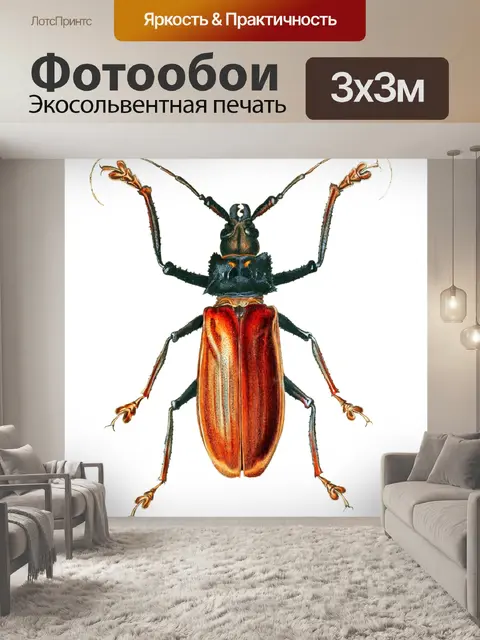 Фотообои Жук-насекомое винтажное искусство