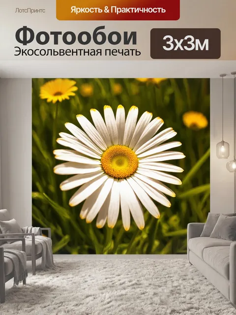 Фотообои египет в стиле импрессионизм, показывающие древнюю маргаритку с нежными и яркими лепестками в свете солнца