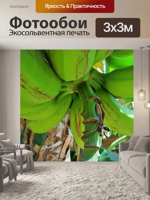 Фотообои Банановое дерево
