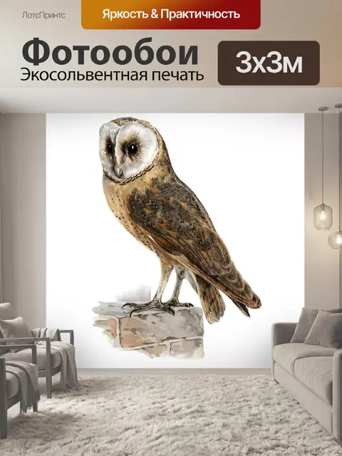 Фотообои Винтаж Клипарт Сова Птица