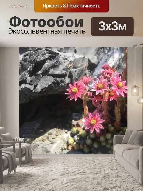 Фотообои Настенные цветы
