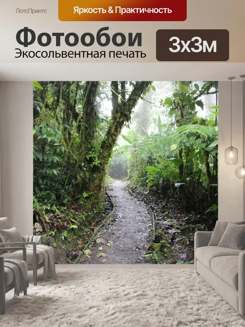 Фотообои Путь в тропическом лесу