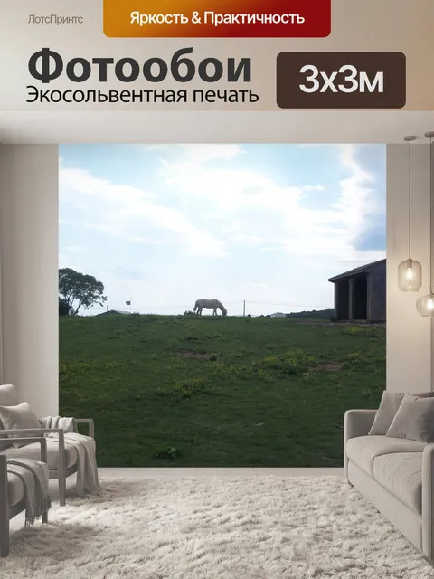 Фотообои Лошадь на холме