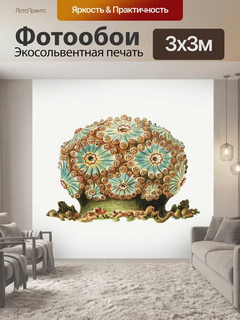 Фотообои Морское коралловое винтажное искусство