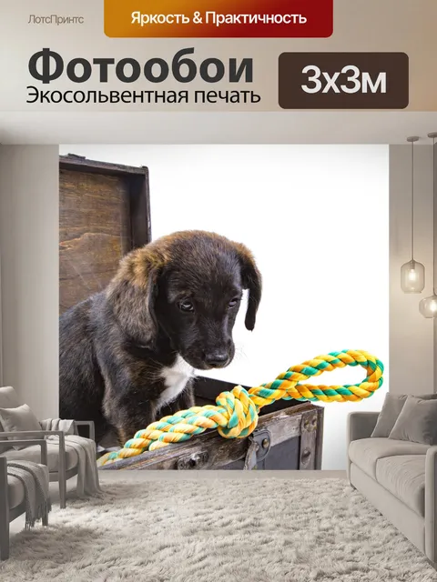 Фотообои Щенок с чемоданом