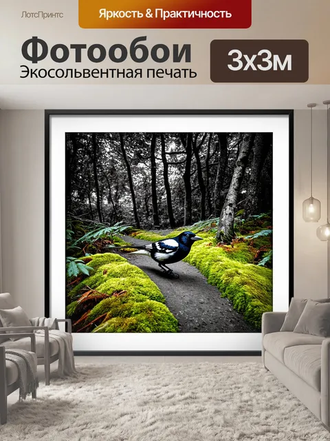 Фотообои сорока, крадущаяся по лесной тропе, обрамленной мхом и листвой, с акцентом на текстуры и детали леса