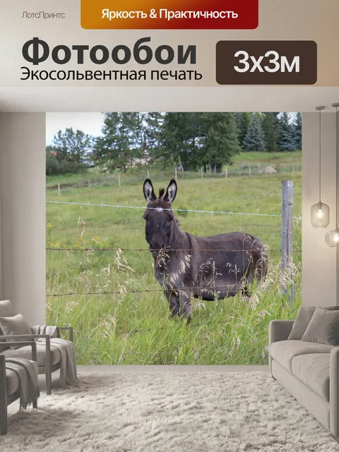Фотообои Осел сельскохозяйственных животных