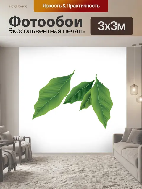 Фотообои Листья