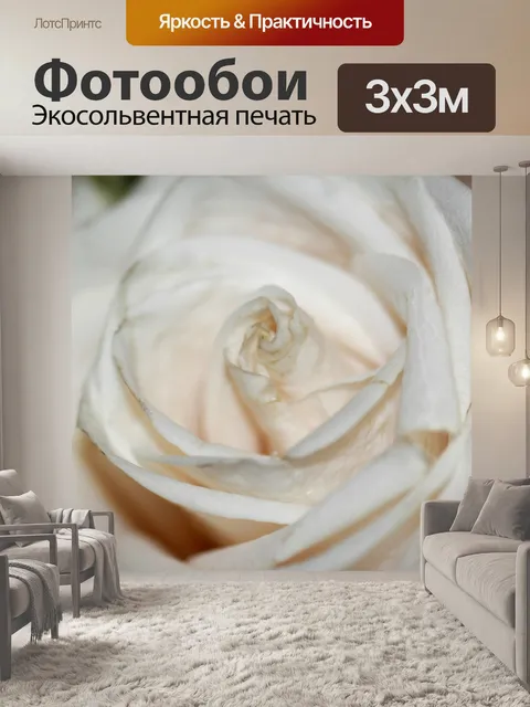 Фотообои Белые розы макрос