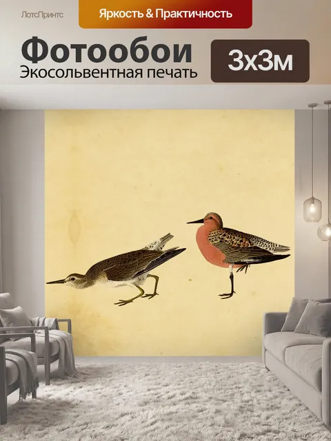 Фотообои Песочница Птицы Винтажная живопись